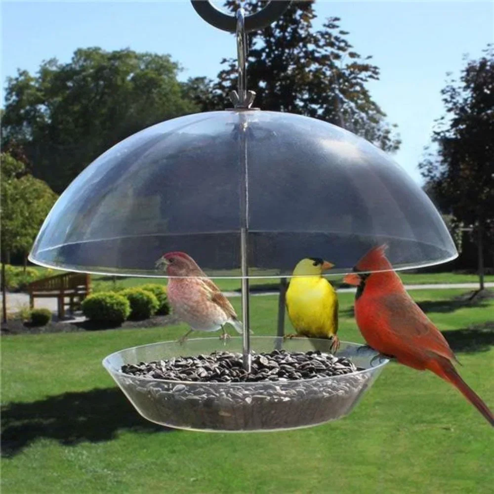 Adjustable Dome Helps Larger Birds The Observatory Dome Feeder